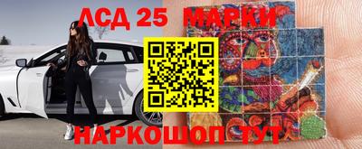 a pvp Свободный