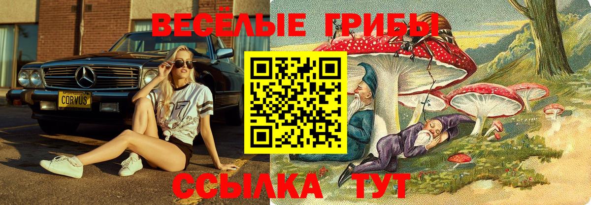 Галлюциногенные грибы Cubensis Отрадный